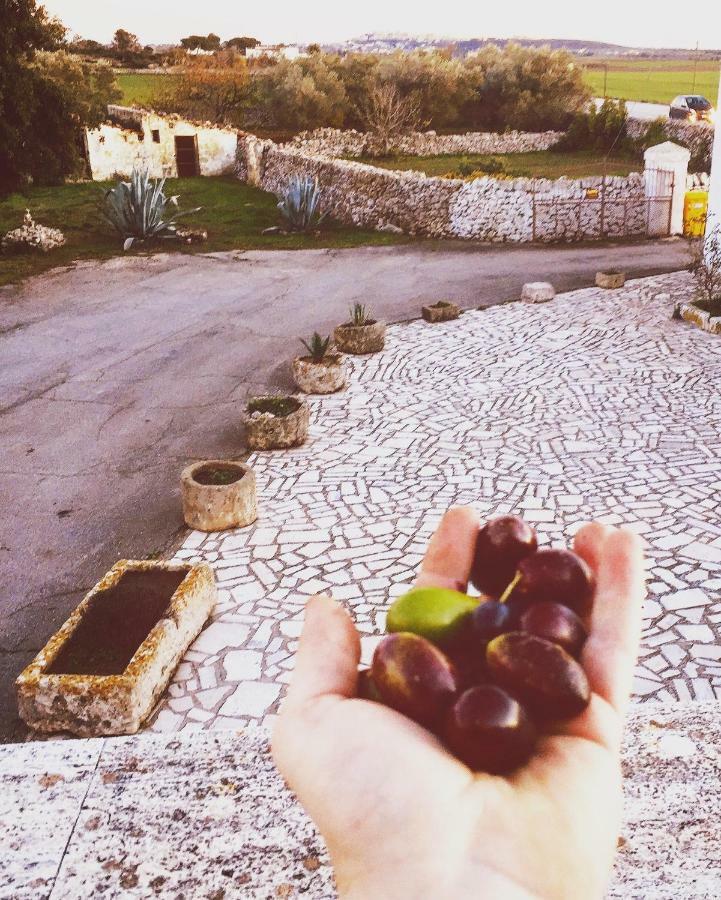Masseria Cassiere Mottola Εξωτερικό φωτογραφία