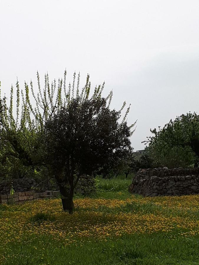 Masseria Cassiere Mottola Εξωτερικό φωτογραφία